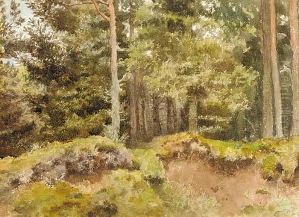 An Essex Wood Oil Painting by Archibald Thorburn