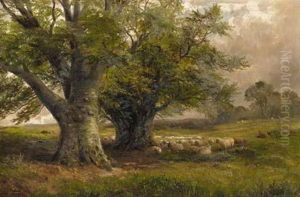 Beech Trees Near Ingleby, Derbyshire Oil Painting by George Turner