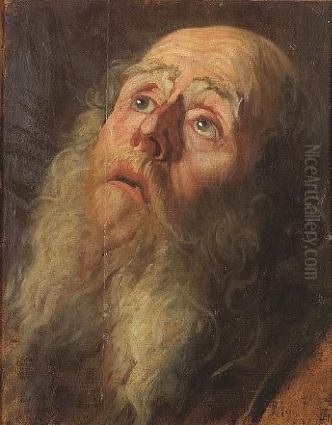 The Head Of An Elderly, Bearded Man Oil Painting by Sir Anthony Van Dyck