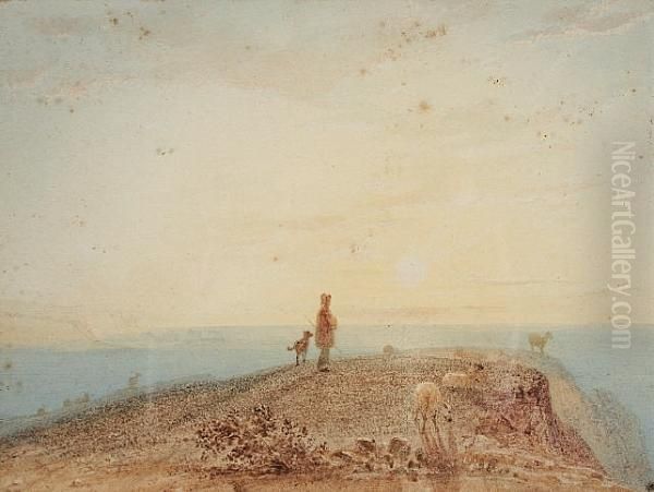 Shepherd Boy, Dog And Flock On A Coastal Headland At Sunset Oil Painting by John Varley