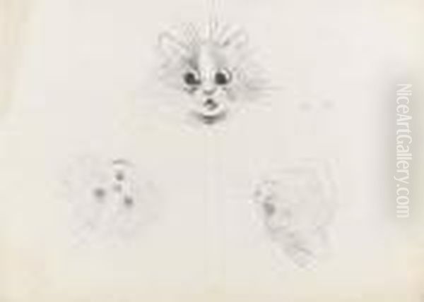 A Startled Kitten And Two Studies Of Cats Recto And A Study Of Catsverso Oil Painting by Louis William Wain