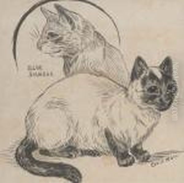 Blue Siamese Oil Painting by Louis William Wain