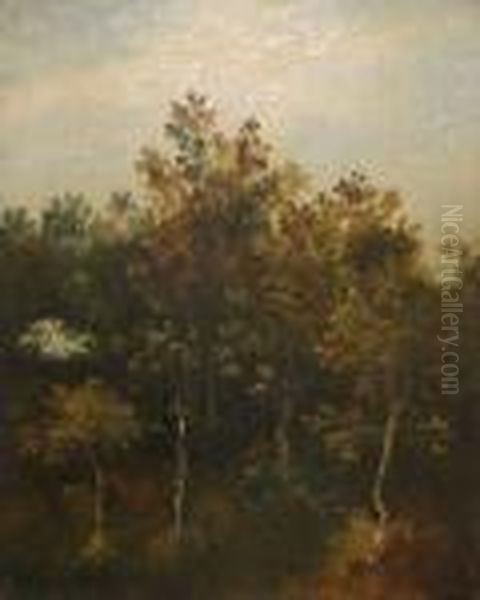 Tree Study Oil Painting by Thomas Gainsborough