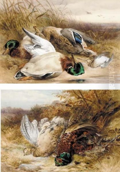 A Brace Of Pheasant On A Bank; And Mallards And A Woodcock Oil Painting by James Jnr Hardy