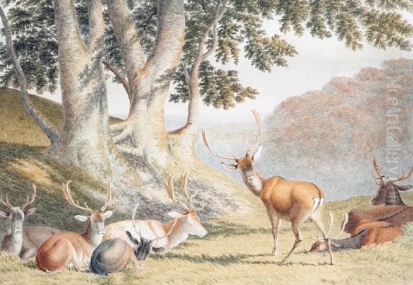 Deer In A Park Oil Painting by Robert Hills