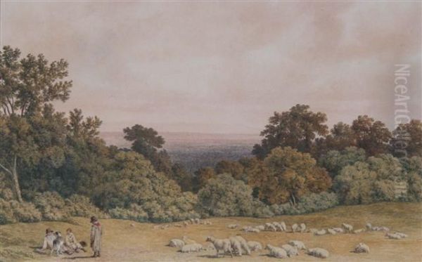 Sheep Grazing In An Extensive Landscape Oil Painting by Robert Hills