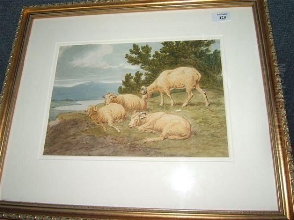 Sheep Resting On A Bank Overlooking A Lake Oil Painting by Robert Hills