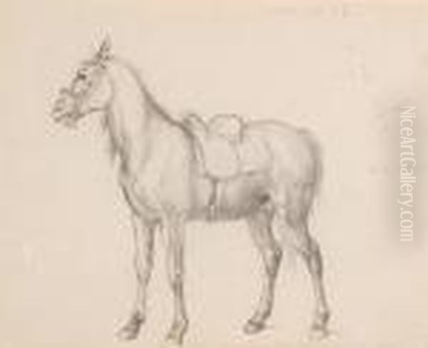 Study Of A Horse Oil Painting by Robert Hills