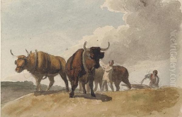 Oxen Ploughing Oil Painting by Robert Hills