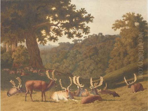 Stags And Hinds Resting In A Parkland Landscape Oil Painting by Robert Hills