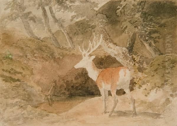 A Stag In A Glade Oil Painting by Robert Hills