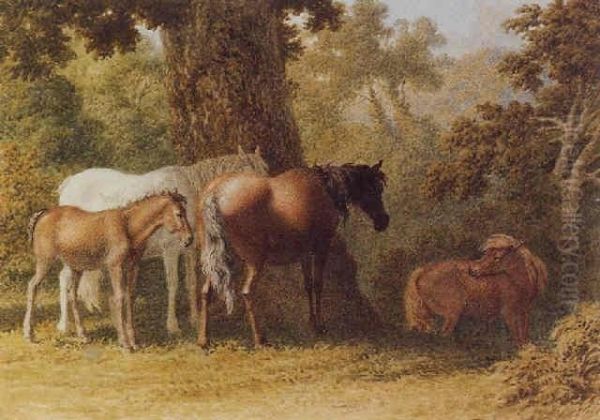 Ponies In A Woodland (#) Deer In A Woodland Oil Painting by Robert Hills