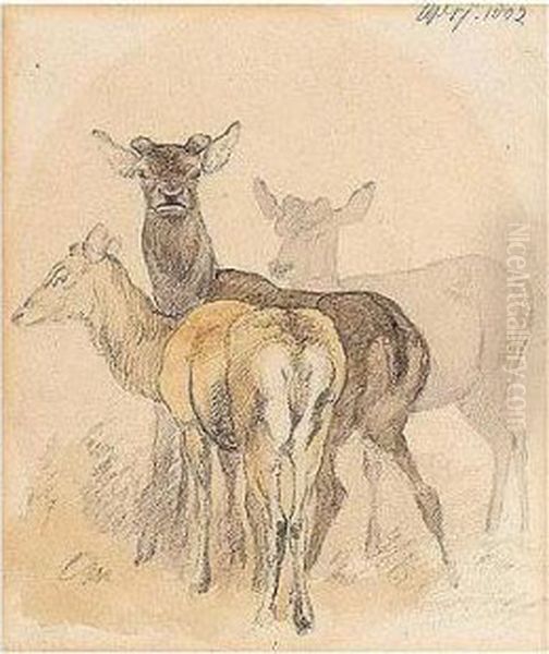 A Study Of Deer Oil Painting by Robert Hills