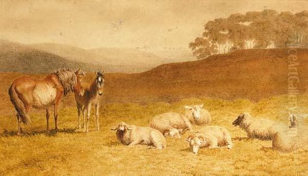 Sheep And Ponies Resting In An Extensive Landscape Oil Painting by Robert Hills