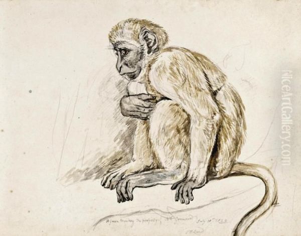 Study Of A Green Monkey Oil Painting by John Frederick Lewis