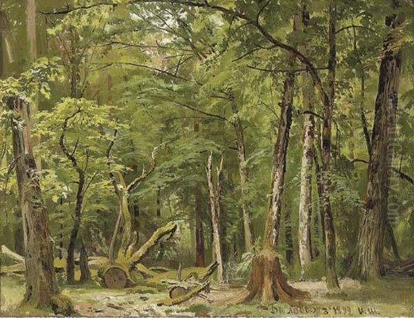 Study Of A Summer In Belovezh Forest Oil Painting by Ivan Shishkin