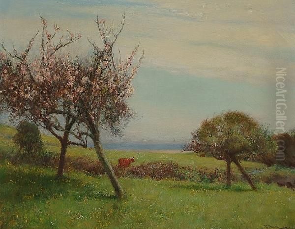 Landscape With Cherry Blossom Oil Painting by John White