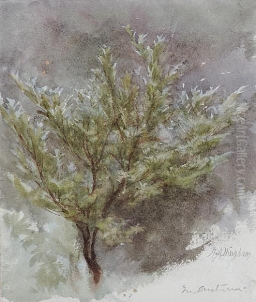 A Sapling In An Autumn Wind Oil Painting by Helen Mary Elizabeth Allingham