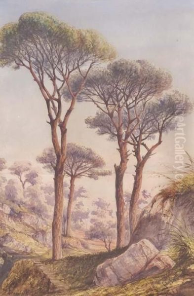 Alberi A Sorrento Oil Painting by Gabriele Carelli