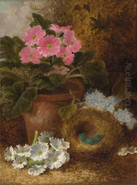 Primulas And A Bird's Nest With Eggs, On A Mossy Bank Oil Painting by Oliver Clare