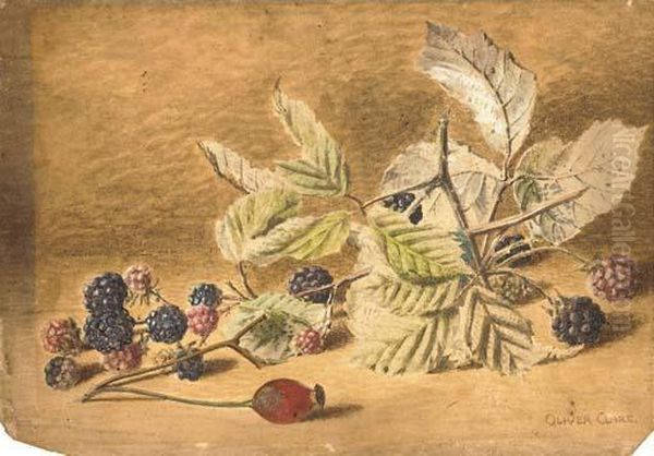 A Study Of Blackberries And A Rose-hip Oil Painting by Oliver Clare