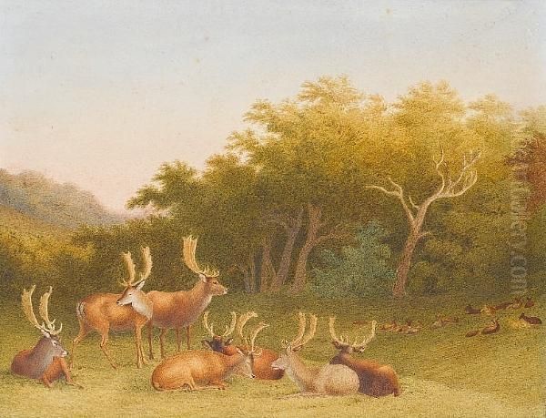 Deer Resting In A Landscape Oil Painting by Robert Hills