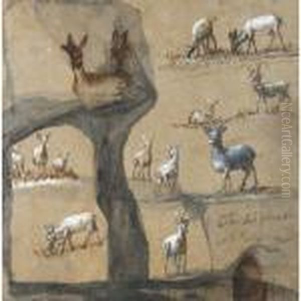 A Sheet Of Studies Of Deer Oil Painting by Claude Lorrain (Gellee)