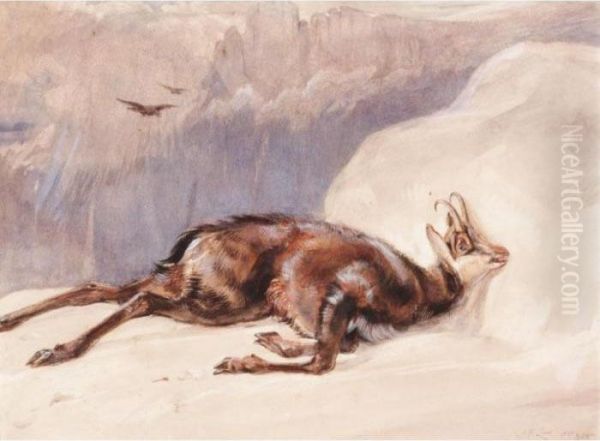 The Chamois, Sketched In The Tyrol Oil Painting by John Frederick Lewis