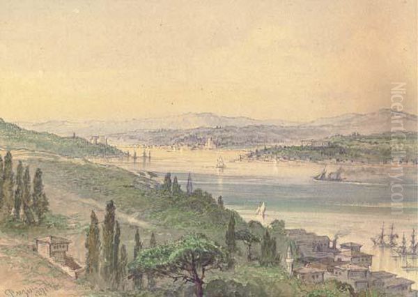 A View Of The Bosphorus From Arnavutkoy To The North Oil Painting by Amadeo Preziosi