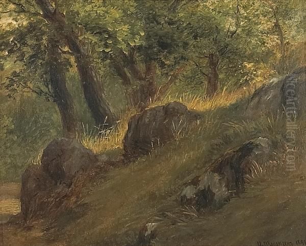 A Study Of A Forest Clearing Oil Painting by Ivan Shishkin