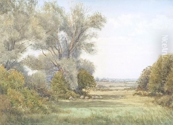 Sheep In The Shade Of Trees Oil Painting by Henry John Sylvester Stannard