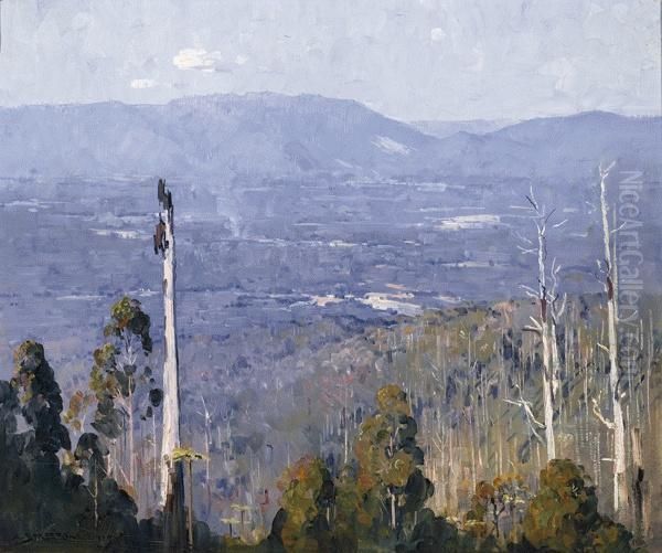 Our Vanishing Forests Oil Painting by Arthur Ernest Streeton