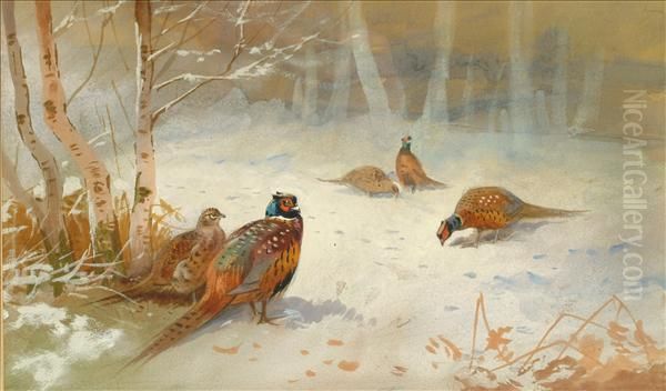 Partridge In The Snow Oil Painting by Archibald Thorburn