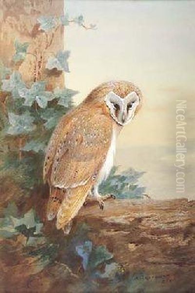 Barn-owl Oil Painting by Archibald Thorburn