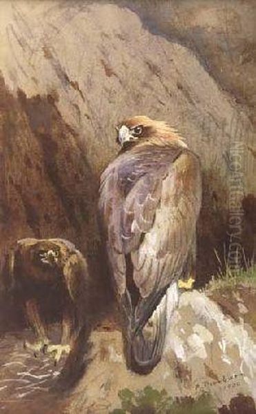 A Pair Of Golden Eagles Oil Painting by Archibald Thorburn