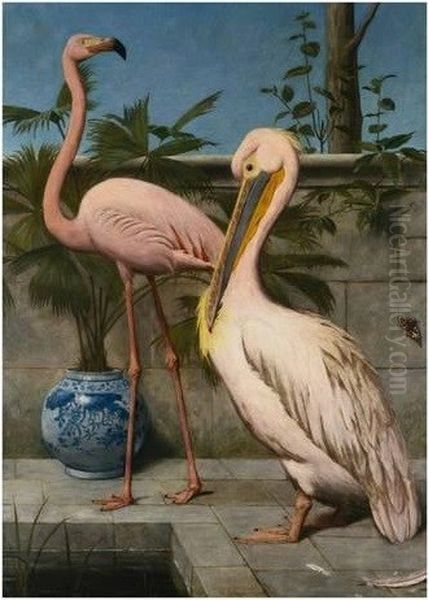 flamingo and pelican Oil Painting by Henry Stacy Marks