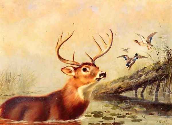 Buck in a Marsh Oil Painting by Arthur Fitzwilliam Tait