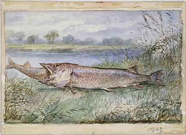 An Amazing Incident showing a Jack Pike of 6lbs attempting to swallow a Barbel of 1 3-4lbs found on Monkey Island Oil Painting by F.J. Lees