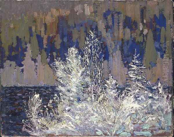 Frost-laden Cedars, Big Cauchon Lake Oil Painting by Tom Thomson