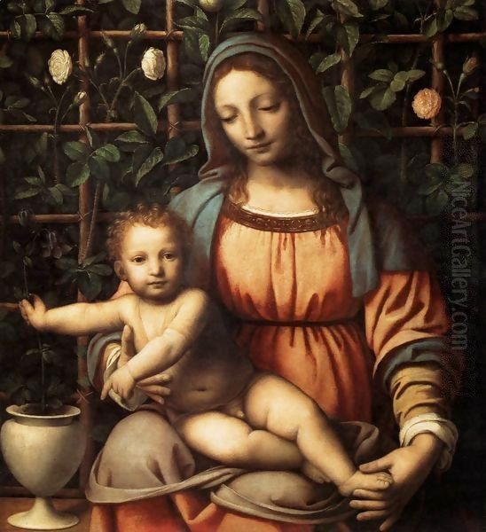 Madonna in the Rose Garden Oil Painting by Bernardino Luini