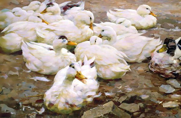 Ducks on a pond Oil Painting by Alexander Max Koester