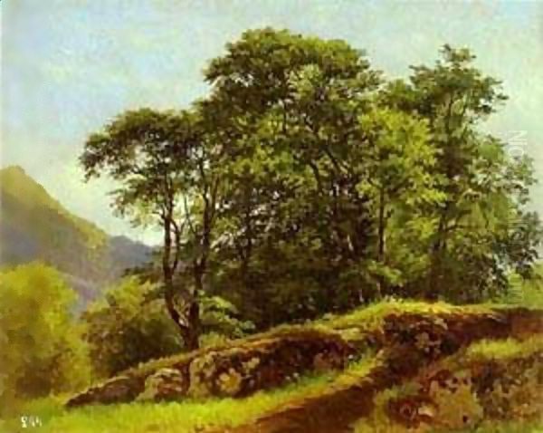 Beech Forest In Switzerland 1863 Oil Painting by Ivan Shishkin