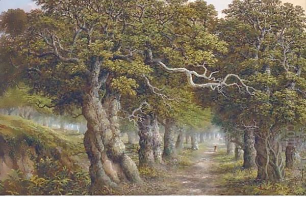 The forest track Oil Painting by Charles Leaver