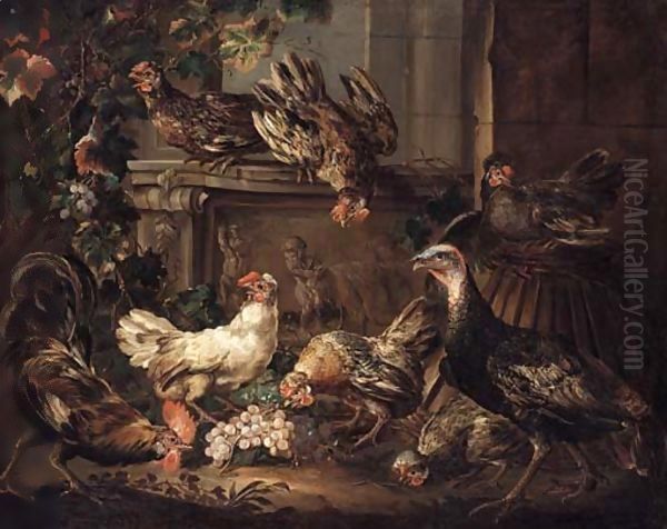 A turkey, a cockerel and hens eating grapes by a bas relief Oil Painting by Giovanni Crivelli, Il Crivellone