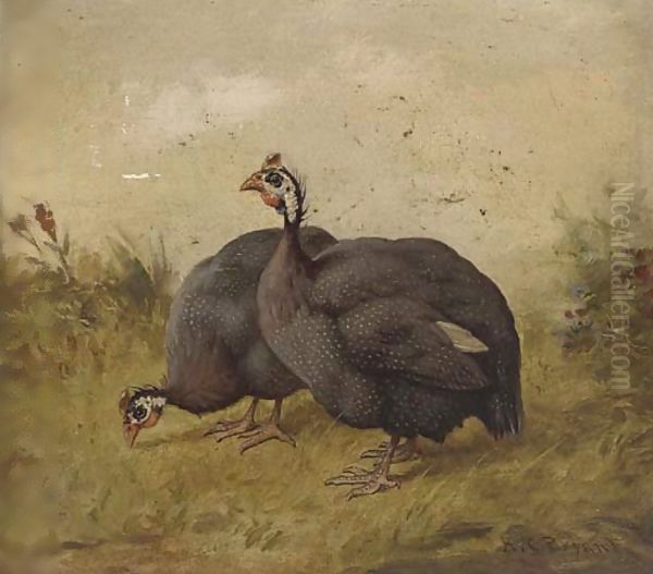 Guinea fowl Oil Painting by Henry Charles Bryant