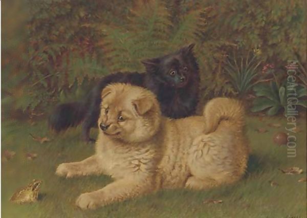 Chow pomeranians in a garden Oil Painting by Horatio Henry Couldery