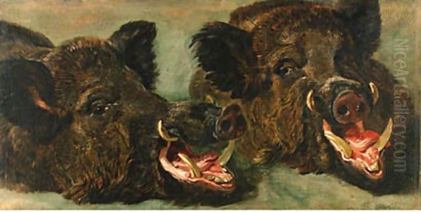 Studies of the head of a wild boar Oil Painting by Jan Fyt