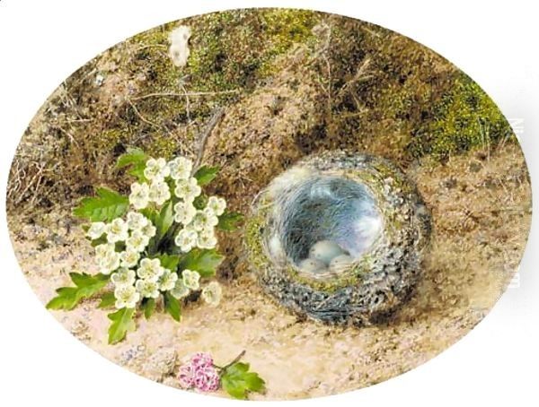 Still-life of bird's nest and hawthorne, on a mossy bank Oil Painting by John Sherrin