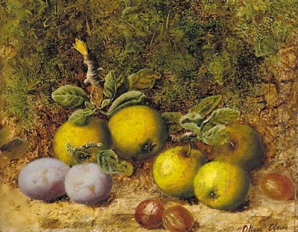 Apples, gooseberries and plums on a mossy bank Oil Painting by Oliver Clare