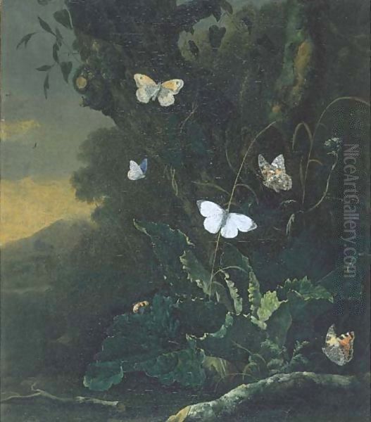 A forest floor still life with a Small Tortoiseshell (aglais urticae), a male Large White (pieris brassicae), a Painted Lady (vanessa cardui) Oil Painting by Otto Marseus van Schrieck